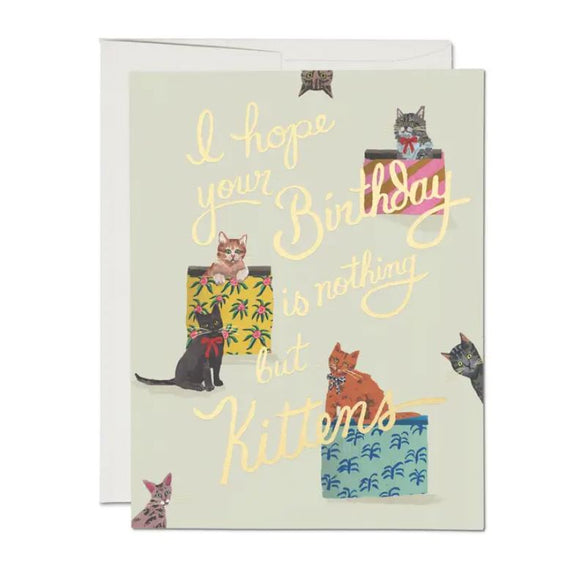 Nothing But Kittens Birthday Greeting Card from Red Cap Cards