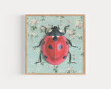 Ladybug Reproduction by Emily Uchytil