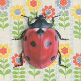 Ladybug Reproduction by Emily Uchytil