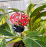 Medium Copper Ladybug - Enamel by Annabelle Noel Designs