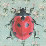 Ladybug Reproduction by Emily Uchytil