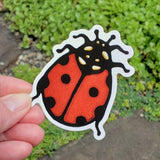 Ladybug Sticker by Sarah Angst