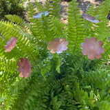 Large Copper Flower - Bare by Annabelle Noel Designs