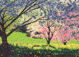 8 Assorted Boxed Notecards by Artists to Watch