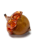 Natural Collection: Glossy Glass Acorns by Grateful Gathers Glass