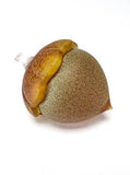 Natural Collection: Frosted Glass Acorns by Grateful Gathers Glass