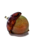 Natural Collection: Glossy Glass Acorns by Grateful Gathers Glass