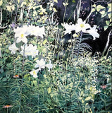 Once There Were Lilies by Brian McCormick