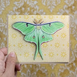 Luna Moth Blank Greeting Card by Emily Uchytil