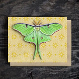 Luna Moth Blank Greeting Card by Emily Uchytil