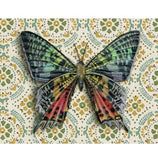 Madagascar Sunset Moth Blank Greeting Card by Emily Uchytil