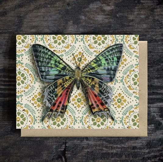 Madagascar Sunset Moth Blank Greeting Card by Emily Uchytil