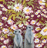 Meerkats Reproduction by Emily Uchytil