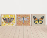 Monarch Butterfly Reproduction by Emily Uchytil