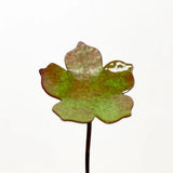 Five Petal Copper Flower - Enamel by Annabelle Noel Designs