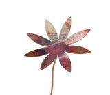 Eight Petal Copper Flower - Enamel by Annabelle Noel Designs