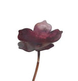 Five Petal Copper Flower - Enamel by Annabelle Noel Designs