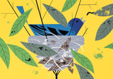 Charley Harper: Nesting Instinct Boxed Notecard Assortment