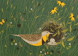 Charley Harper: Nesting Instinct Boxed Notecard Assortment