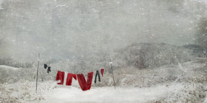 The North Poles by Jamie Heiden