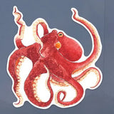 Octopus Bumper Sticker by Chavah's Garden