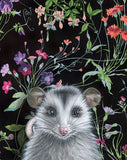 Opossum Reproduction by Emily Uchytil