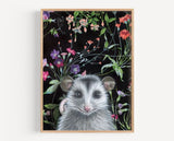 Opossum Reproduction by Emily Uchytil