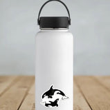 Orca Sticker by Chavah's Garden