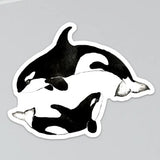 Orca Sticker by Chavah's Garden