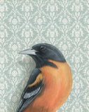 Oriole Blank Greeting Card by Emily Uchytil