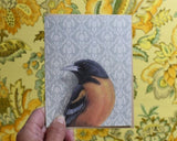Oriole Blank Greeting Card by Emily Uchytil