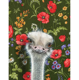 Ostrich Blank Greeting Card by Emily Uchytil