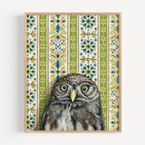 Pygmy Owl Reproduction by Emily Uchytil