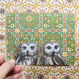 Saw Whet Owls Blank Greeting Card by Emily Uchytil