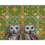 Saw Whet Owls Blank Greeting Card by Emily Uchytil