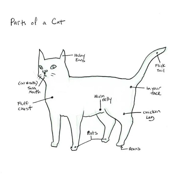Parts of a Cat Print by Cat Rocketship