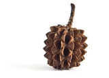 Warm Pinecone Chain Necklace by Merzatta Jewelry