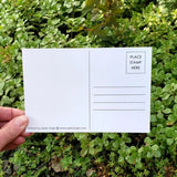 Holiday Dove Postcard by Sarah Angst