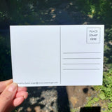 Mountain Stream Postcard by Sarah Angst