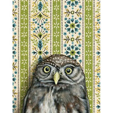 Pygmy Owl Blank Greeting Card by Emily Uchytil