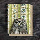 Pygmy Owl Blank Greeting Card by Emily Uchytil