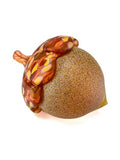 Frosted Glass Acorns by Grateful Gathers Glass