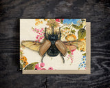 Rhinoceros Beetle Blank Greeting Card by Emily Uchytil