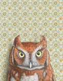 Screech Owl Blank Greeting Card by Emily Uchytil