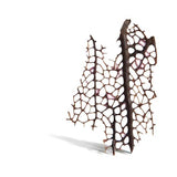 Warm Sea Fan Small Earrings by Merzatta Jewelry