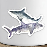 Shark Sticker by Chavah's Garden