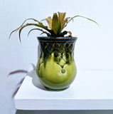Small Tabletop Planter - Pattern by Plays In Mud Pottery