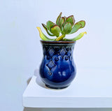 Small Tabletop Planter - Pattern by Plays In Mud Pottery