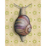 Snail Blank Greeting Card by Emily Uchytil