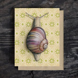 Snail Blank Greeting Card by Emily Uchytil